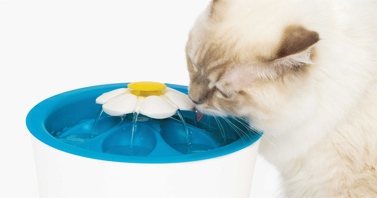 Catit LED Flower cat drinking fountain, 3L, with the light ring lit