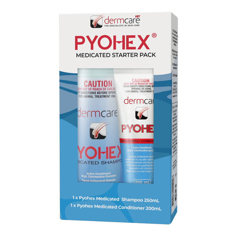 Dermcare Pyohex Medicated Starter Pack - 250ml Shampoo + 200ml Conditioner
