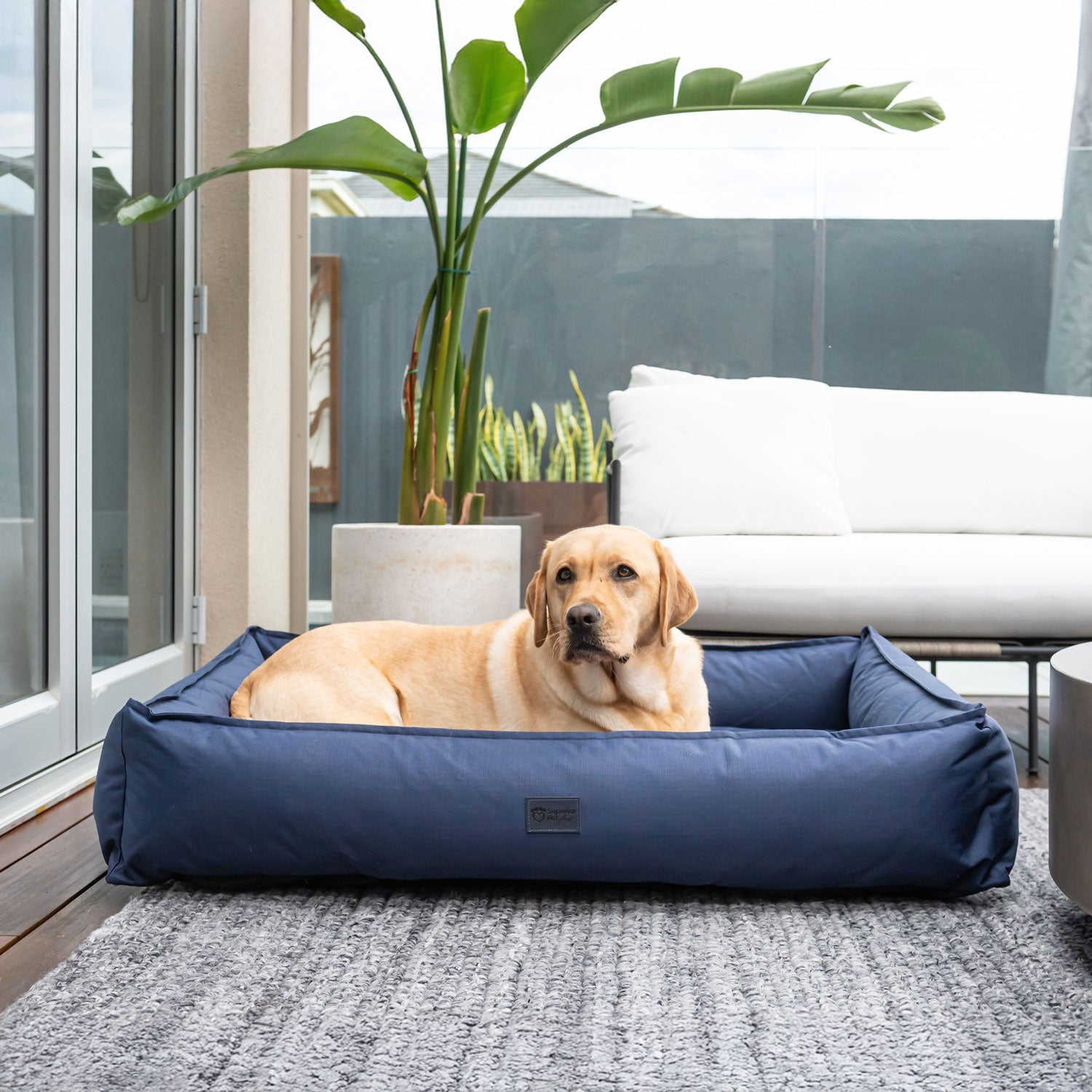 Dog resting in a Superior Pet Goods Dog Lounger Ripstop in Bondi Blue
