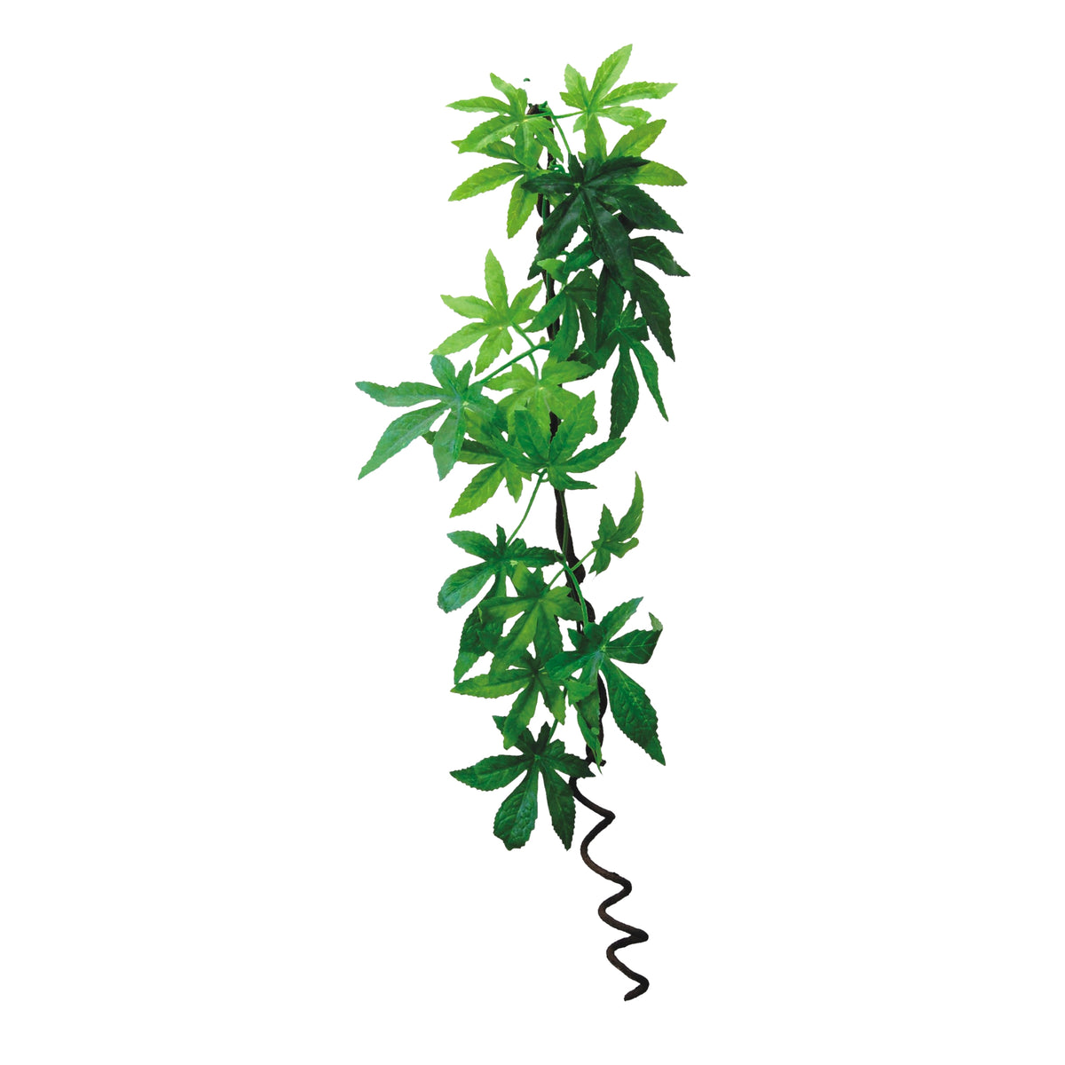 Eco Tech Hanging Albuliton With Vine Terrarium Plant 60cm | PeekAPaw Pet Supplies