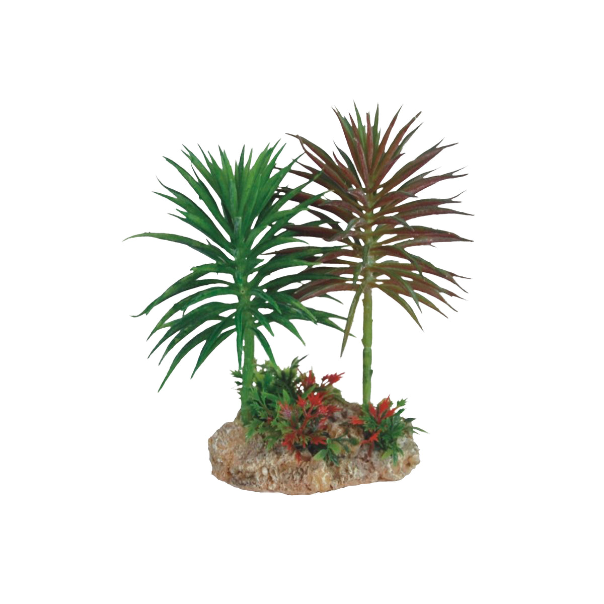 Eco Tech Umbrella Cactus Terrarium Plant - Twin 2 x 16cm | PeekAPaw Pet Supplies