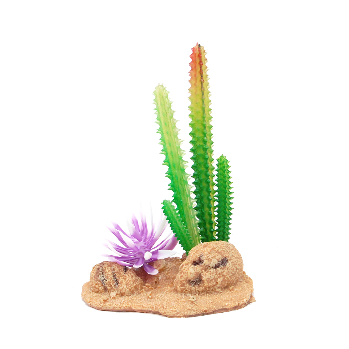 Eco Tech Desert Cactus With Brush & Rock Terrarium Plant 13cm | PeekAPaw Pet Supplies