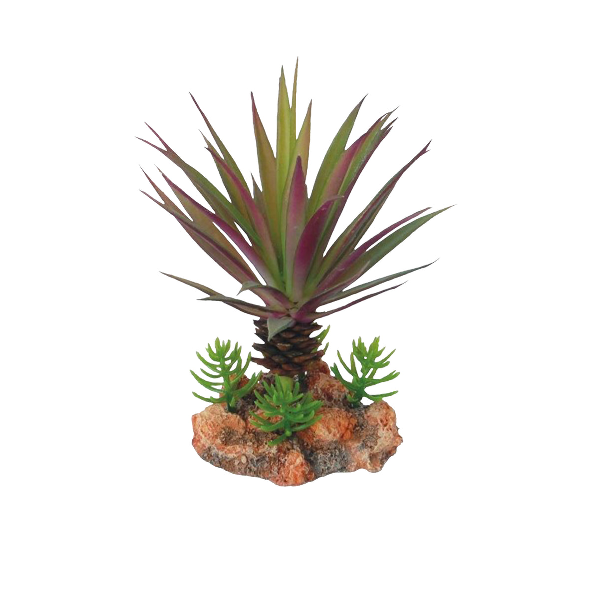 Eco Tech Crimson Spike Cactus Terrarium Plant 17cm | PeekAPaw Pet Supplies