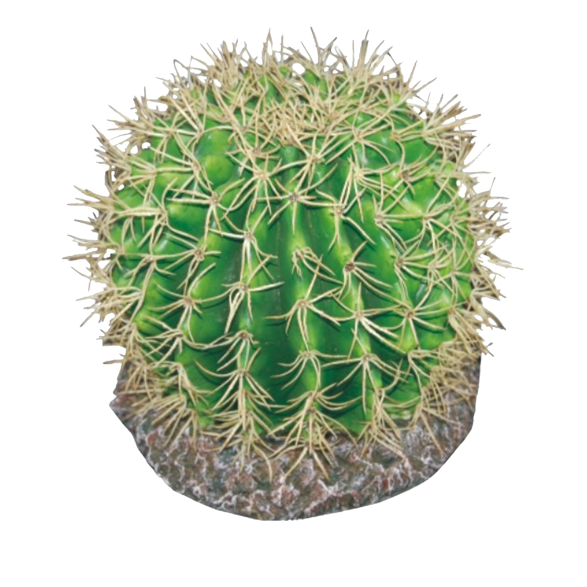 Eco Tech Pineapple Cactus Terrarium Plant - 20cm | PeekAPaw Pet Supplies
