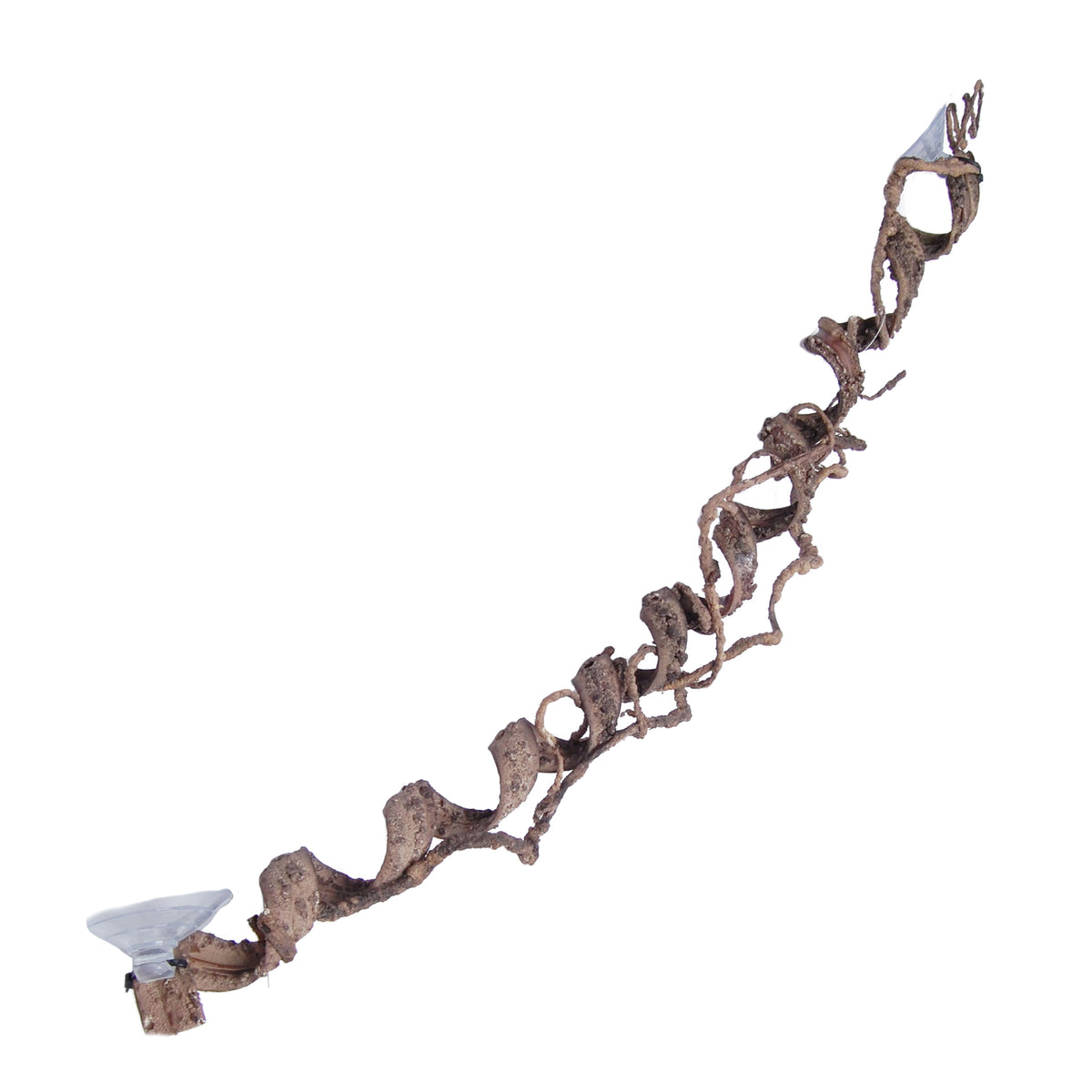Eco Tech Super Spiral Vine Terrarium Plant 80cm | PeekAPaw Pet Supplies
