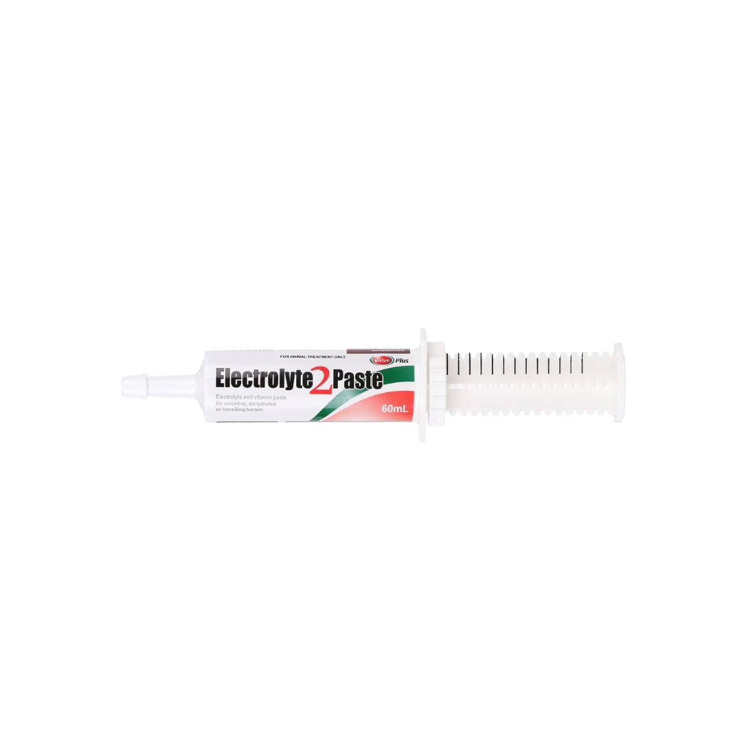Value Plus Electrolyte 2 Paste 60ml oral syringe for horses