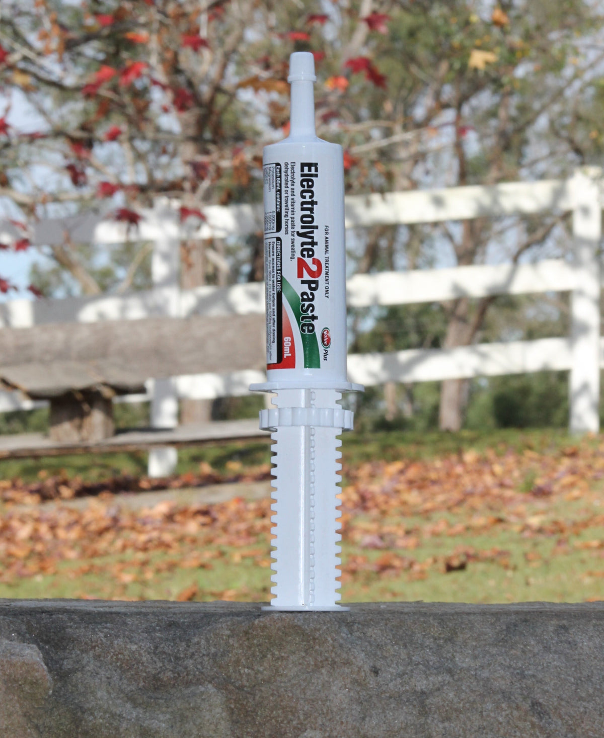 Value Plus Electrolyte 2 Paste single 60ml tube