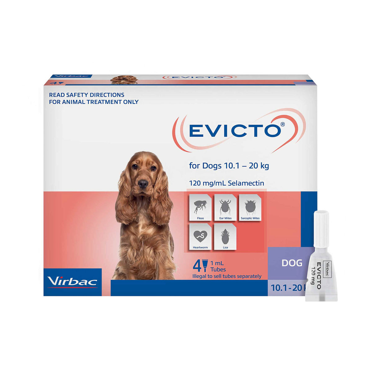 Evicto Spot-On for Medium Dogs 10-20kg, front of 4 pack carton