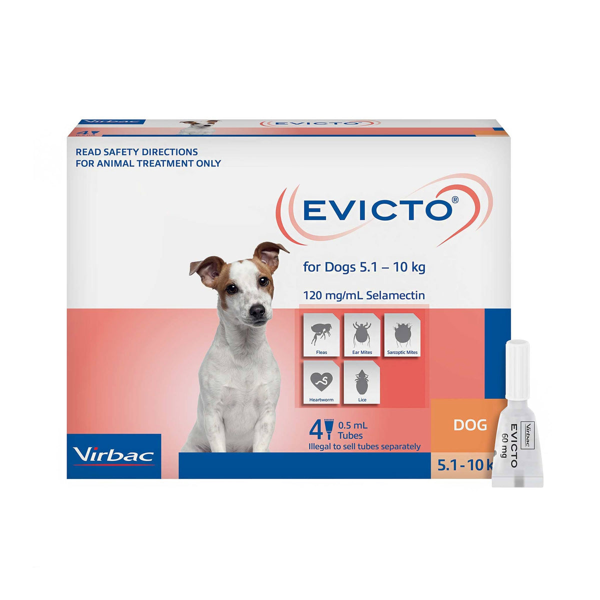 Evicto Spot-On for Small Dogs 5-10kg, front of 4 pack carton