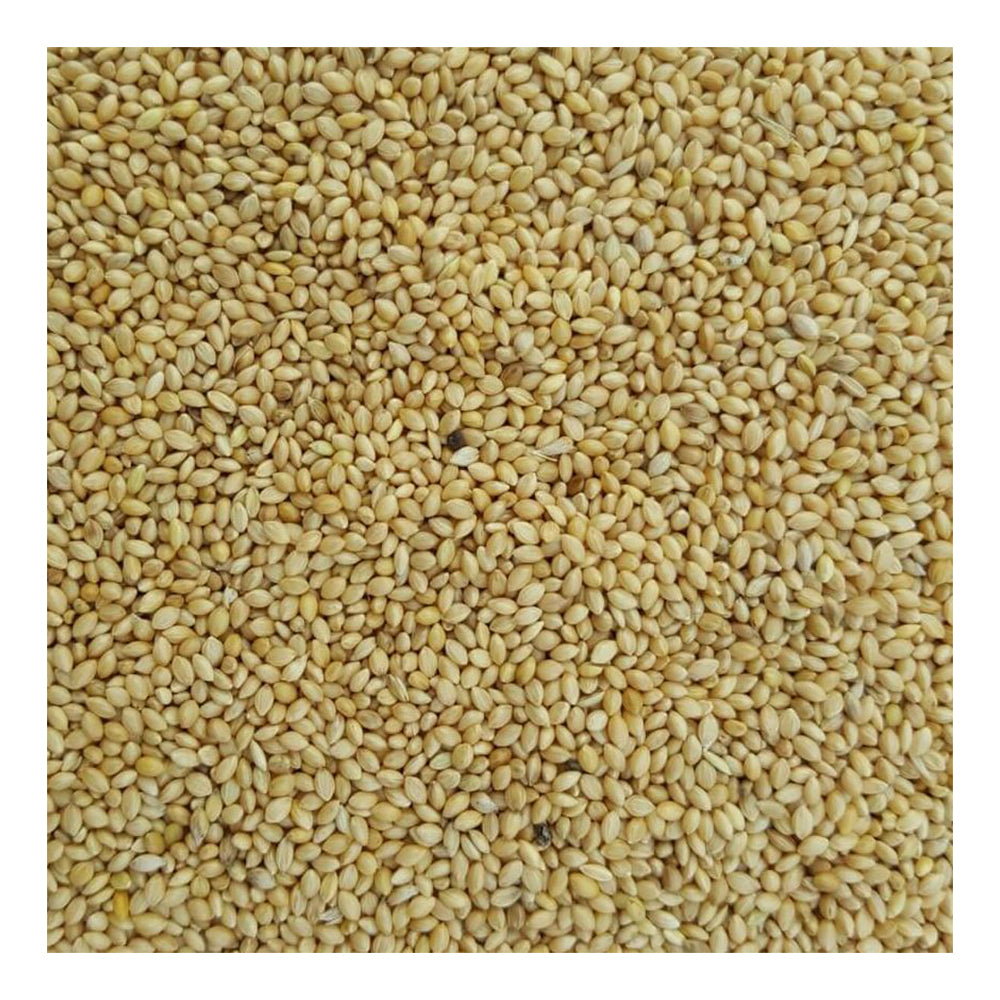 Green Valley Pannicum Animal Feed product pack shot
