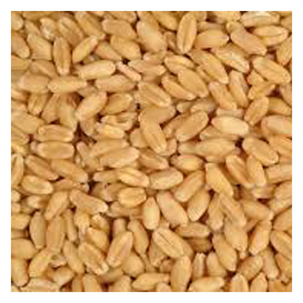 Country Heritage Organic Whole Wheat 20kg bag front of pack