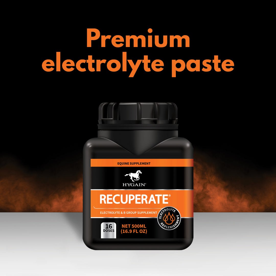 Hygain Recuperate recovery paste for horses