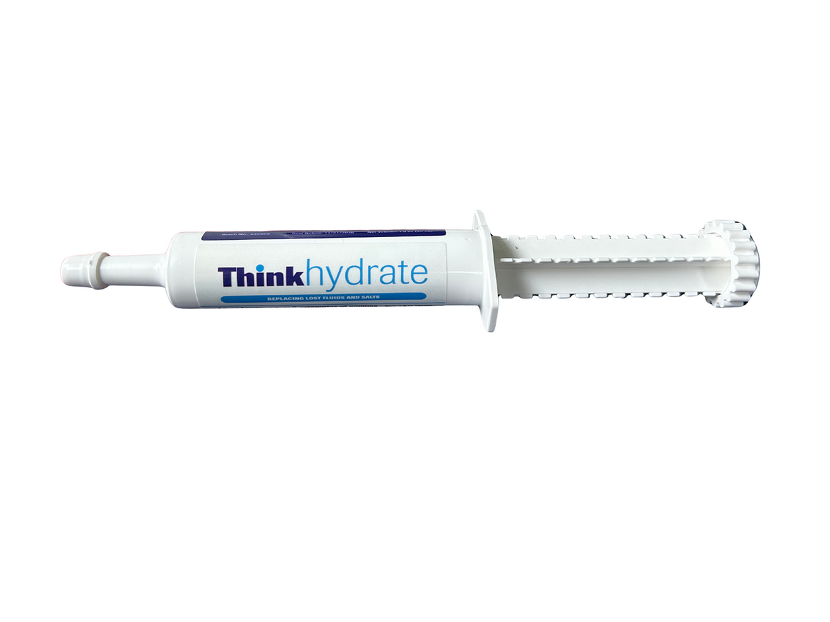 Brinicombe Think Hydrate Electrolyte Paste for Horses front of pack (png)