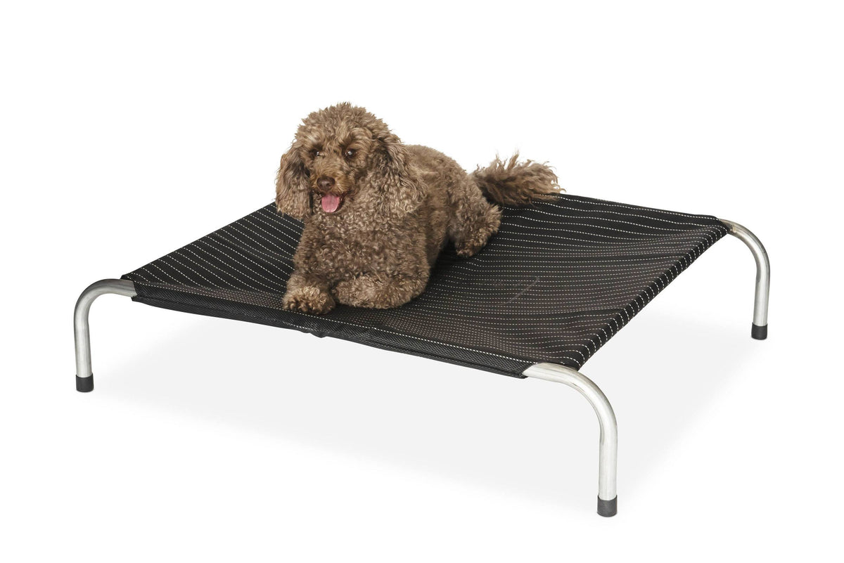 An apricot poodle lying on a Superior Pet Goods Pinstripe raised dog bed
