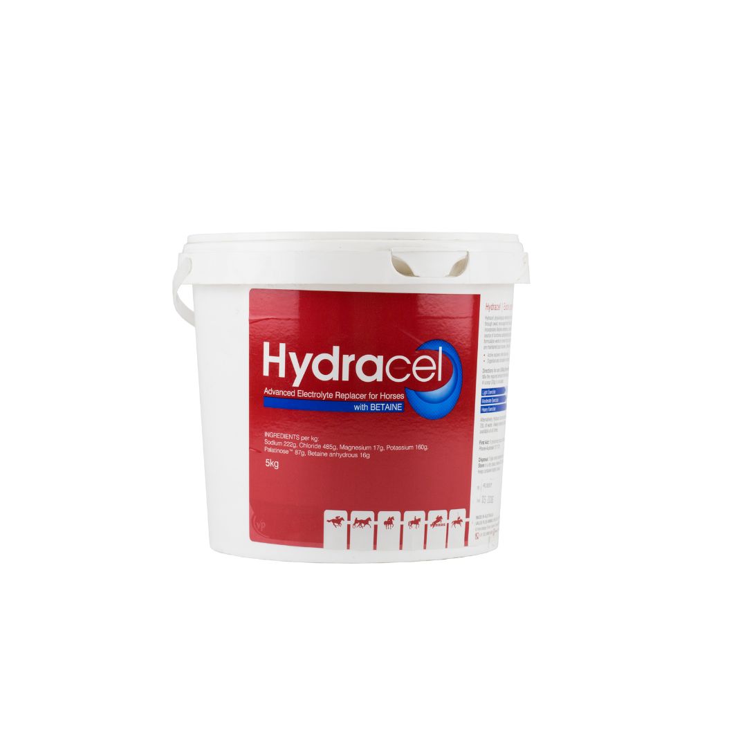 Value Plus Hydracel advanced electrolyte replacer 5kg tub