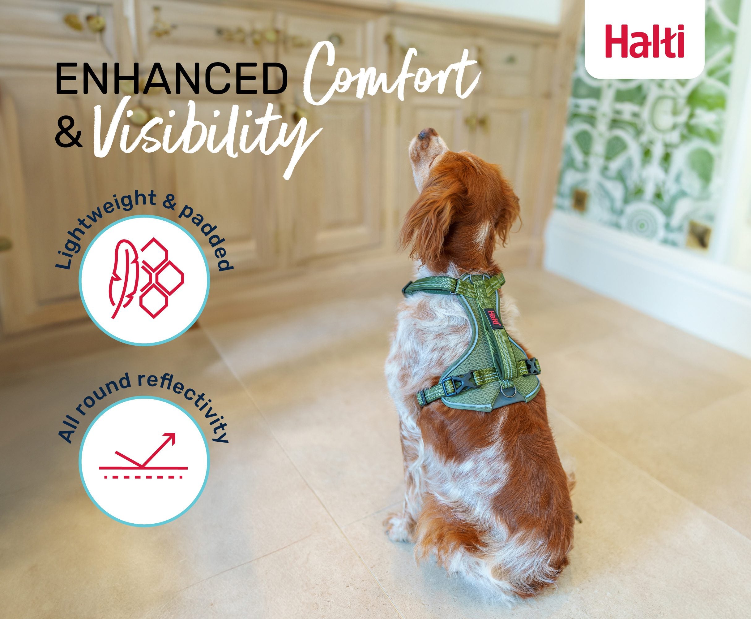 Halti Anatomy Harness on a dog – 360 degree reflectivity and neoprene padding | PeekAPaw