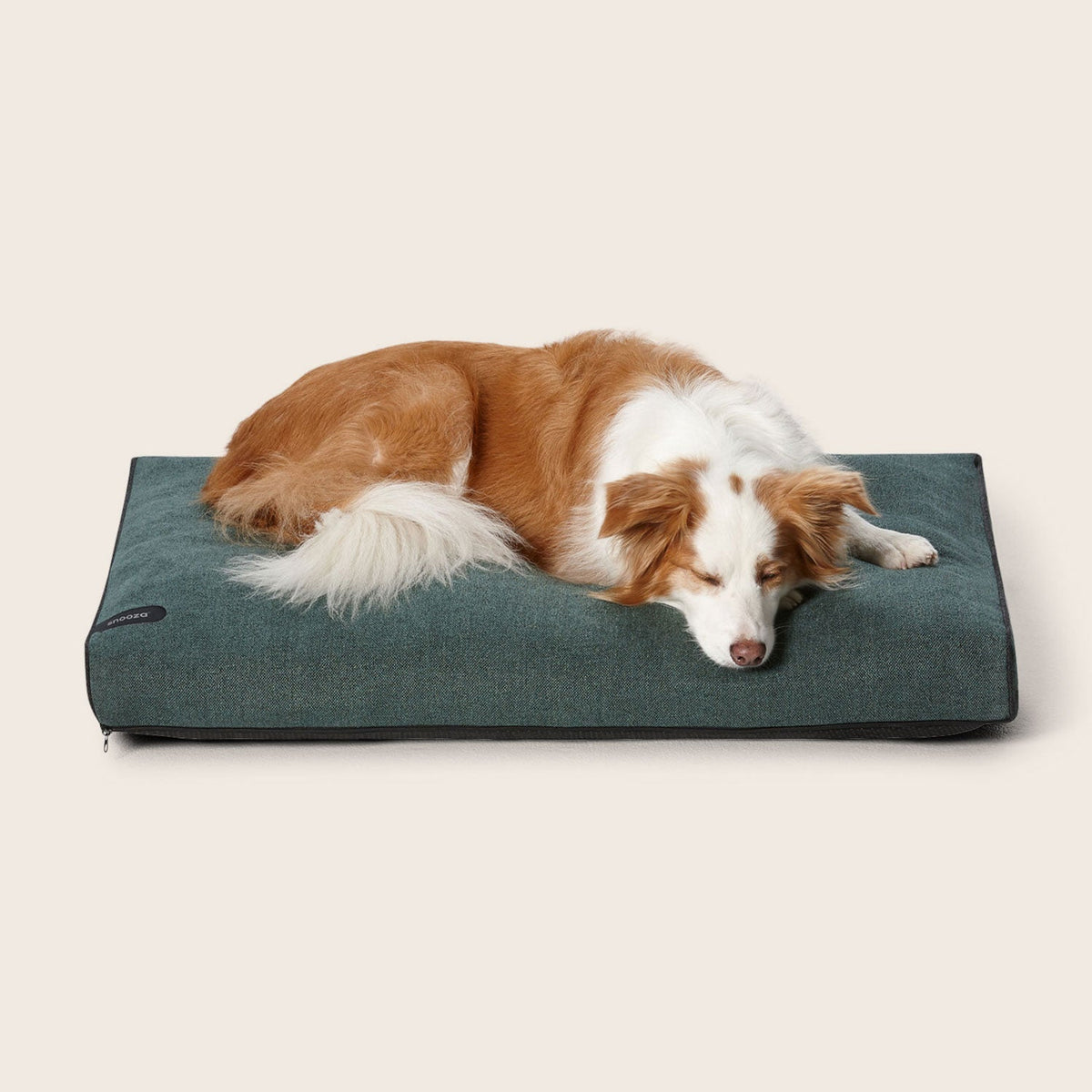 Snooza Modern Dog Daybed in Emerald Green with black piping
