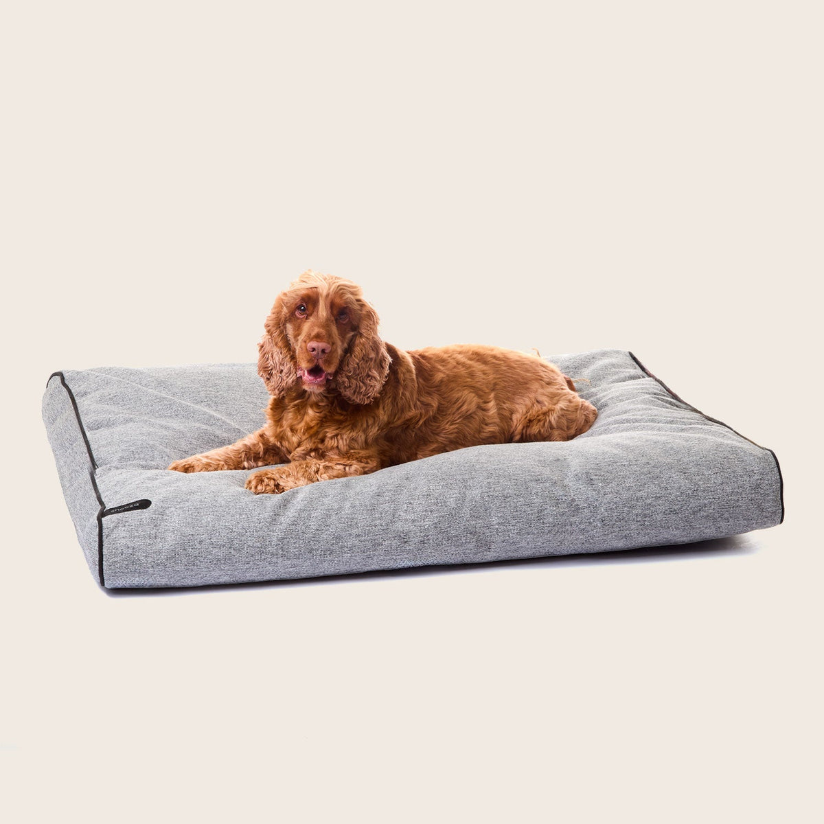 Snooza Modern Dog Daybed in Pepper with black piping
