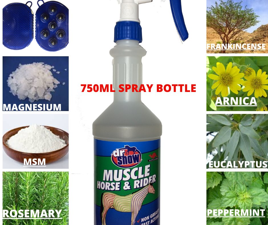 Dr Show MUSCLE Horse and Rider liniment being sprayed onto a horse leg