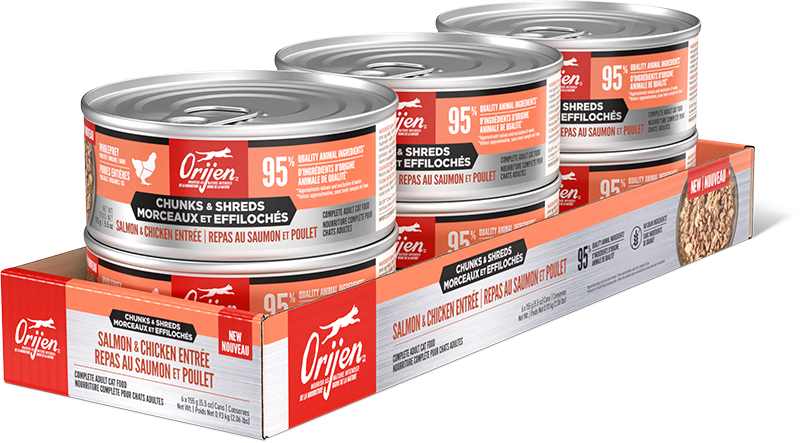 Orijen Wet Cat Food Chunks & Shreds Slamon and Chicken Entree - 155g x 12 x 12 | PeekAPaw Pet Supplies