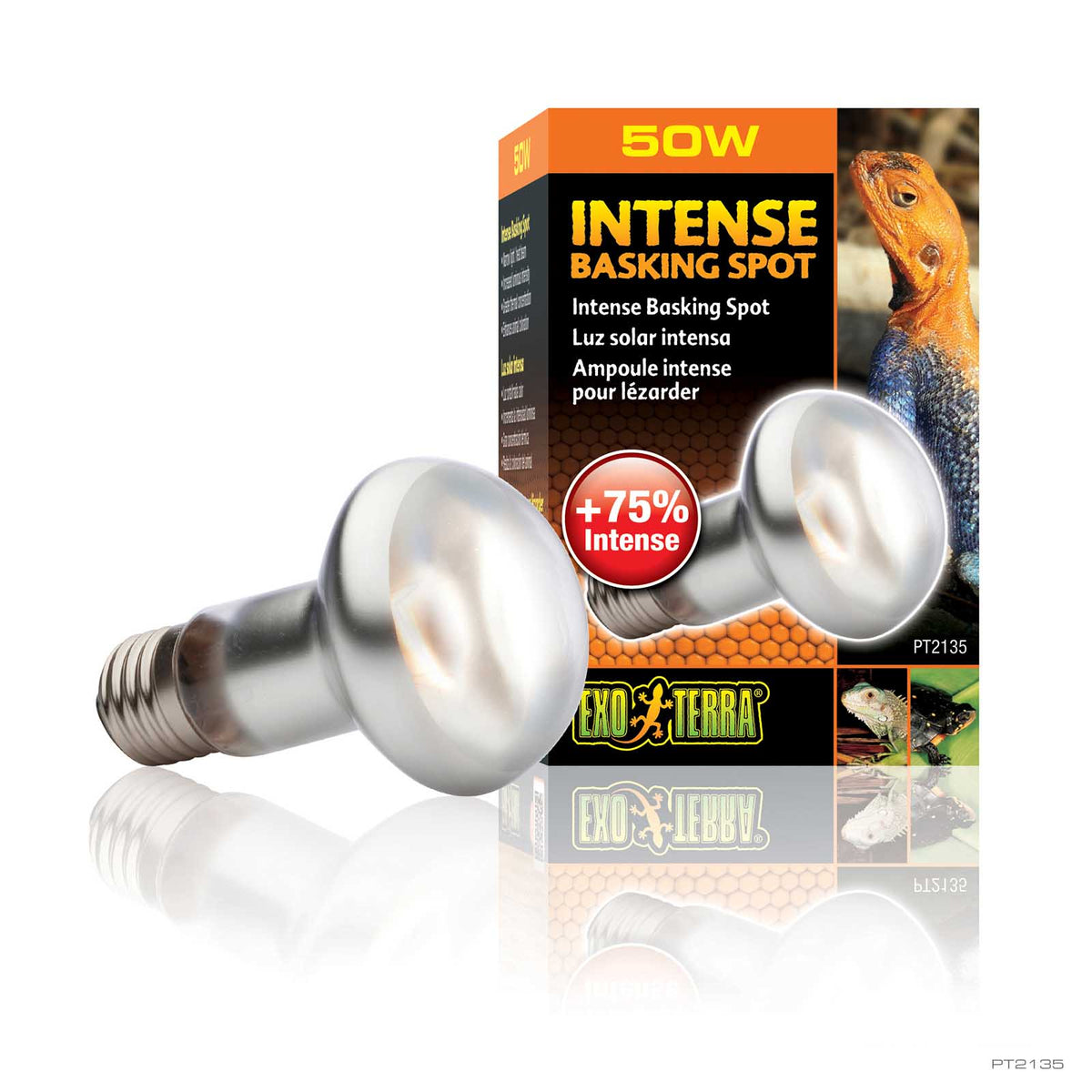 Exo Terra Intense Basking Spot Lamp 50W tight beam reflector bulb | PeekAPaw Pet Supplies