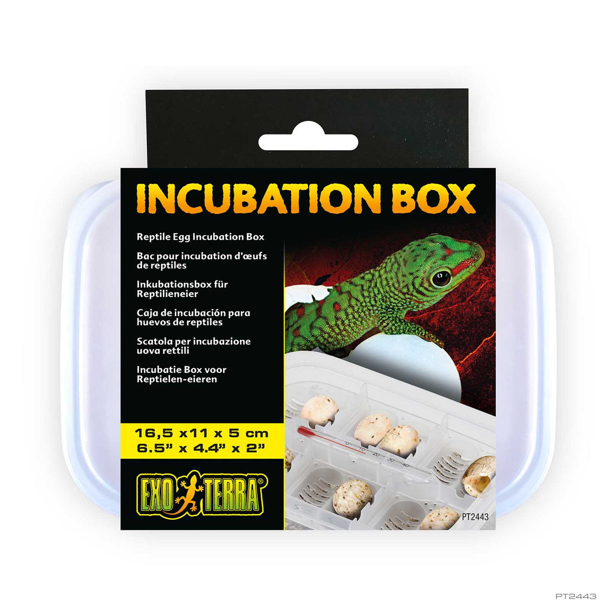 Exo Terra Reptile Incubation Tub PT2443 clear egg box with suspended tray | PeekAPaw Pet Supplies