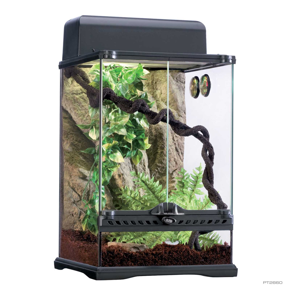 Exo Terra Rainforest Habitat Kit 30 x 30 x 45cm complete terrarium kit PT2660 | PeekAPaw Pet Supplies
