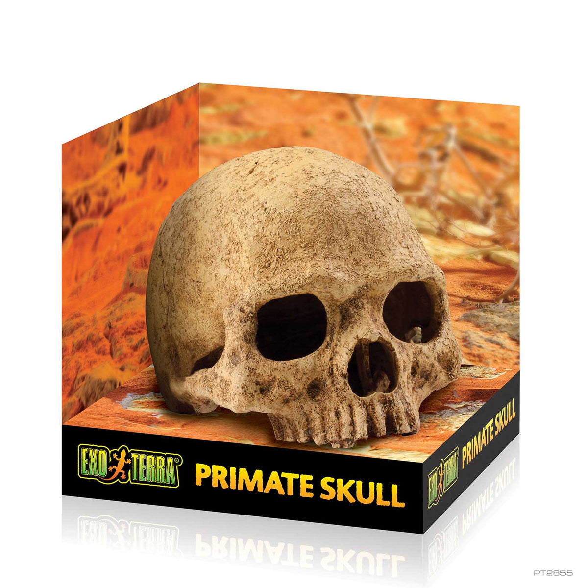 Exo Terra Primate Skull Hide Out PT2855 - second product view | PeekAPaw Pet Supplies