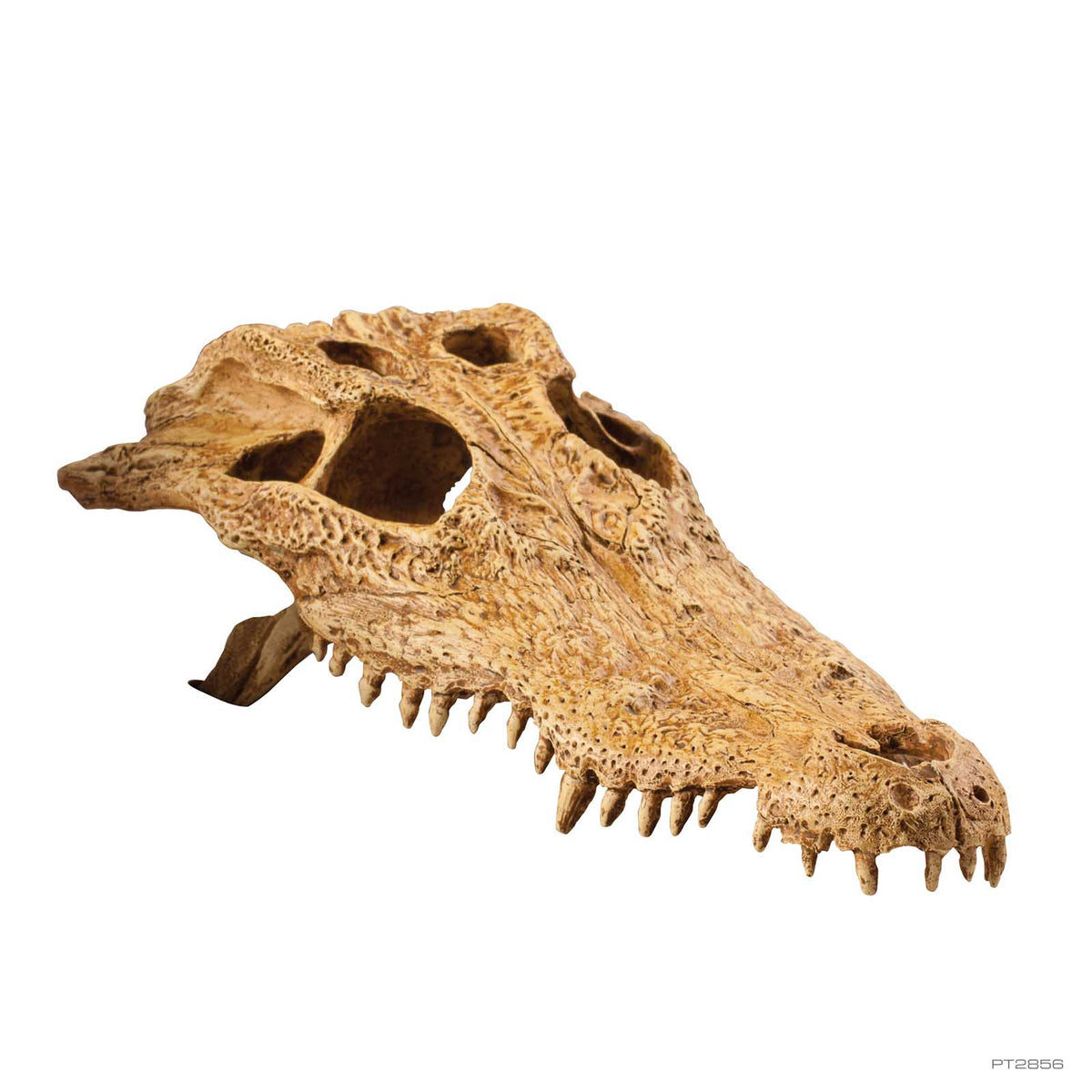 Exo Terra Crocodile Skull Hide Out Medium PT2856 | PeekAPaw Pet Supplies