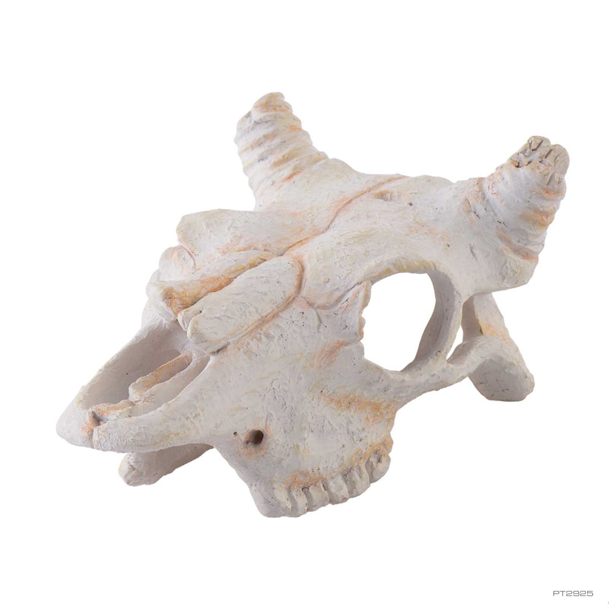 Exo Terra Buffalo Skull Hide Out Small PT2925 - 7.6 x 11.8 x 5cm | PeekAPaw Pet Supplies
