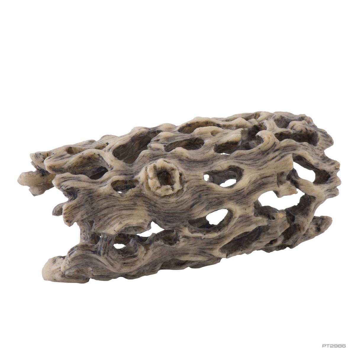 Exo Terra Cholla Cactus Skeleton Small 6.1 x 11.3 x 5.7cm (PT2986) | PeekAPaw Pet Supplies