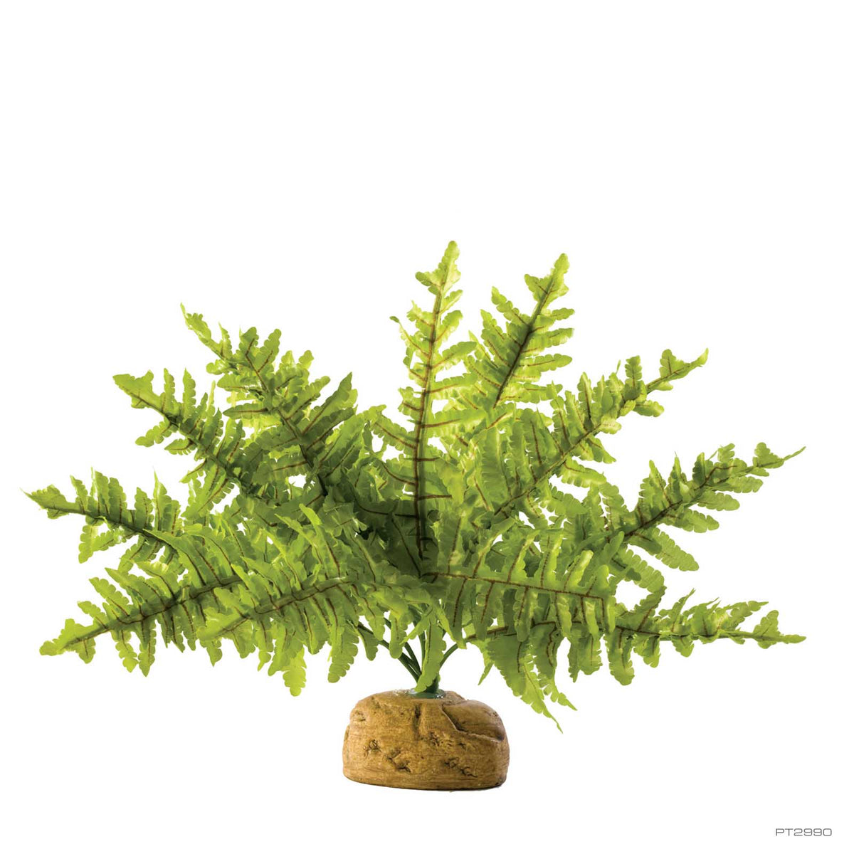Exo Terra Boston Fern Small 25cm (PT2990) | PeekAPaw Pet Supplies