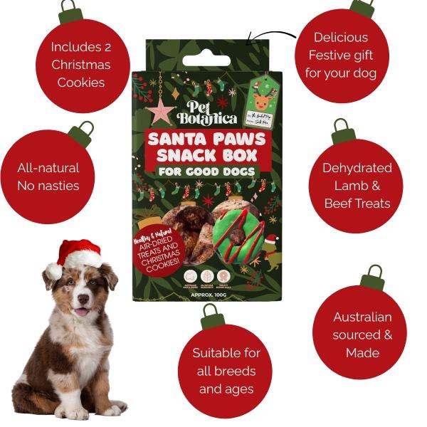 Pet Botanica Santa Paws Snack Box closed gift box front