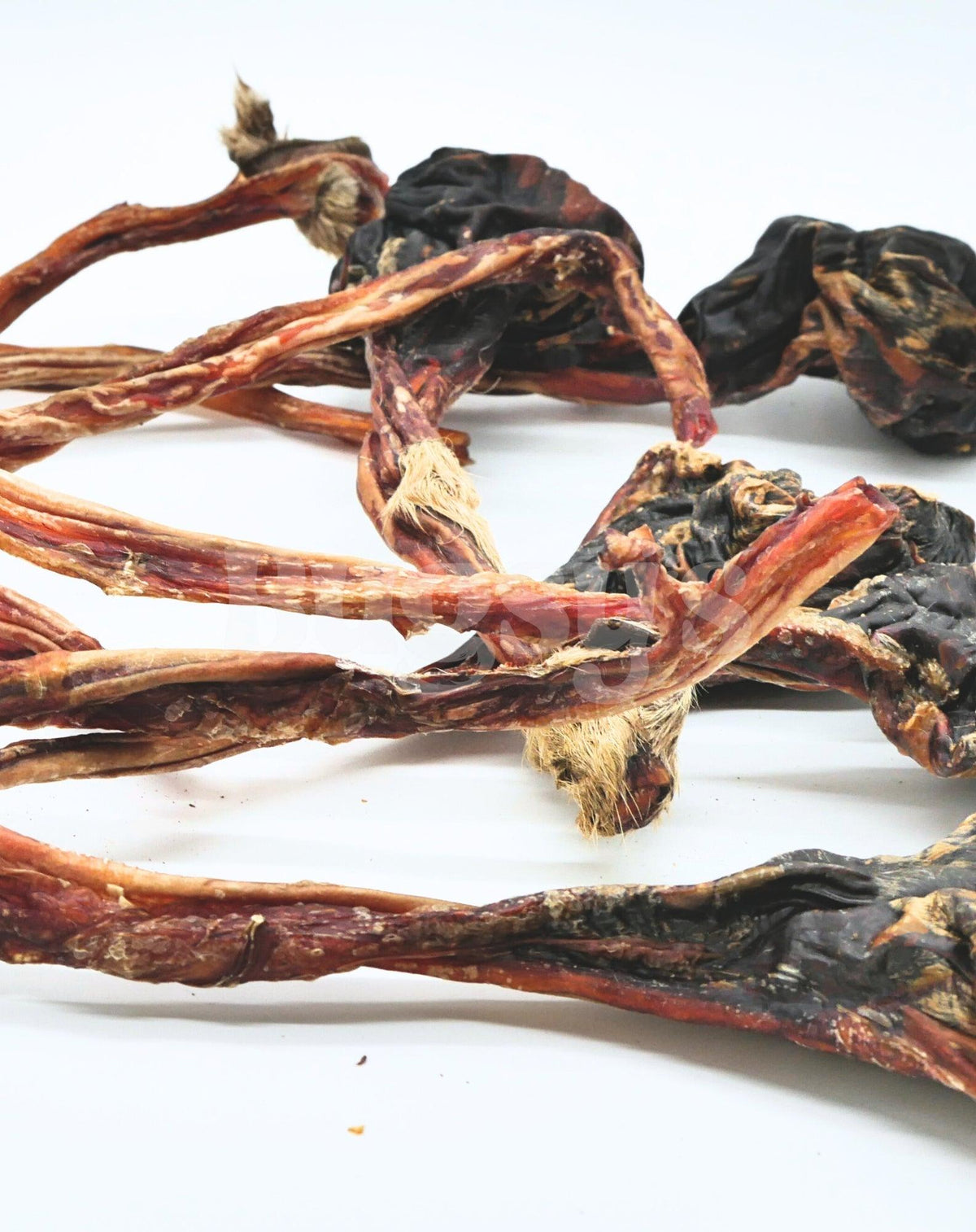 Bugsy's Kangaroo Tendons Dog Treats 3
