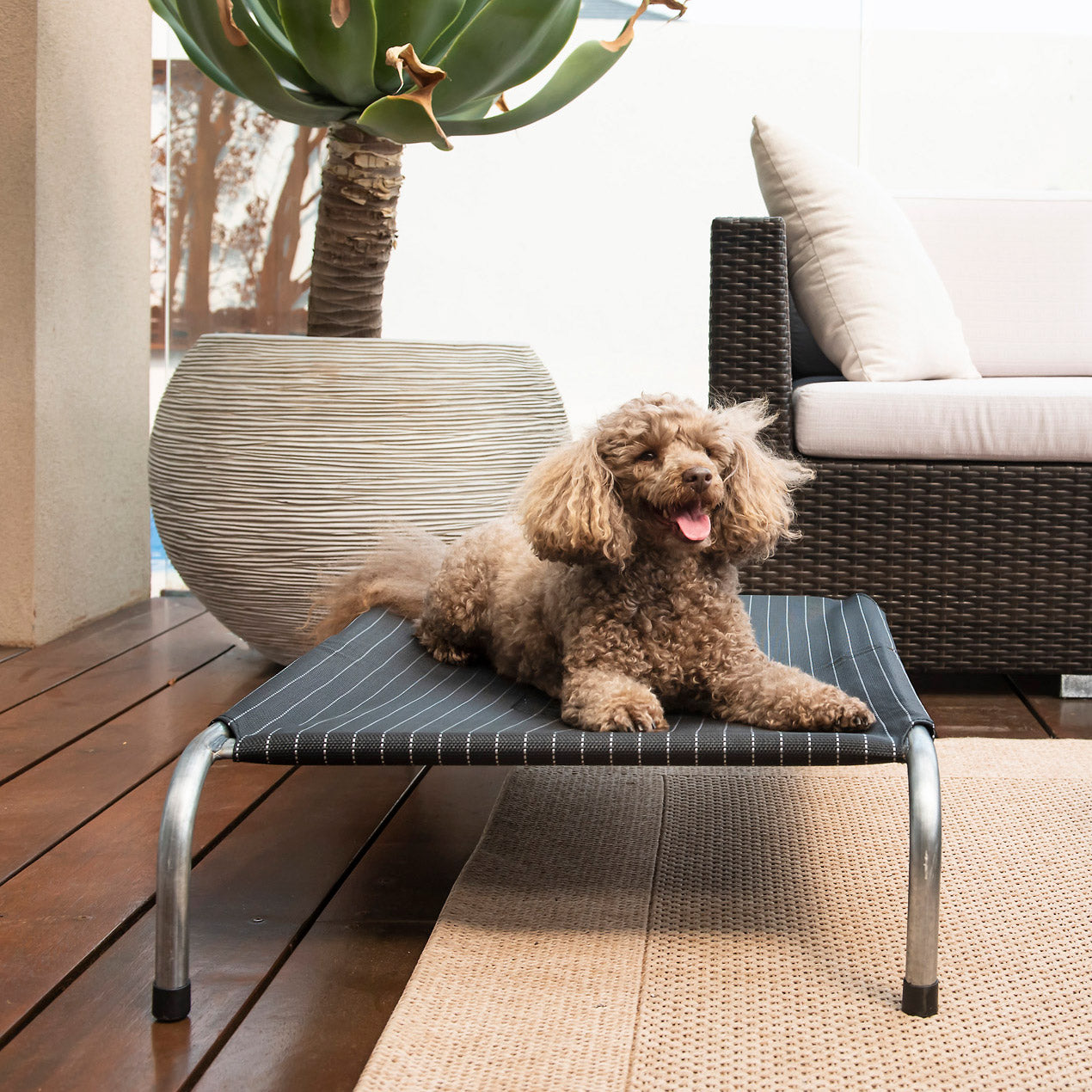 Dog resting on a Superior Pet Goods Pinstripe raised dog bed