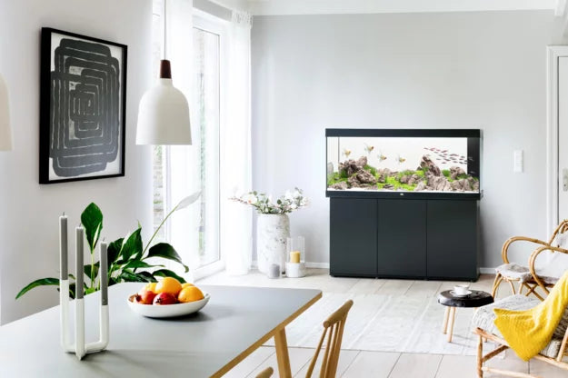 Juwel RIO LED Aquarium 450L