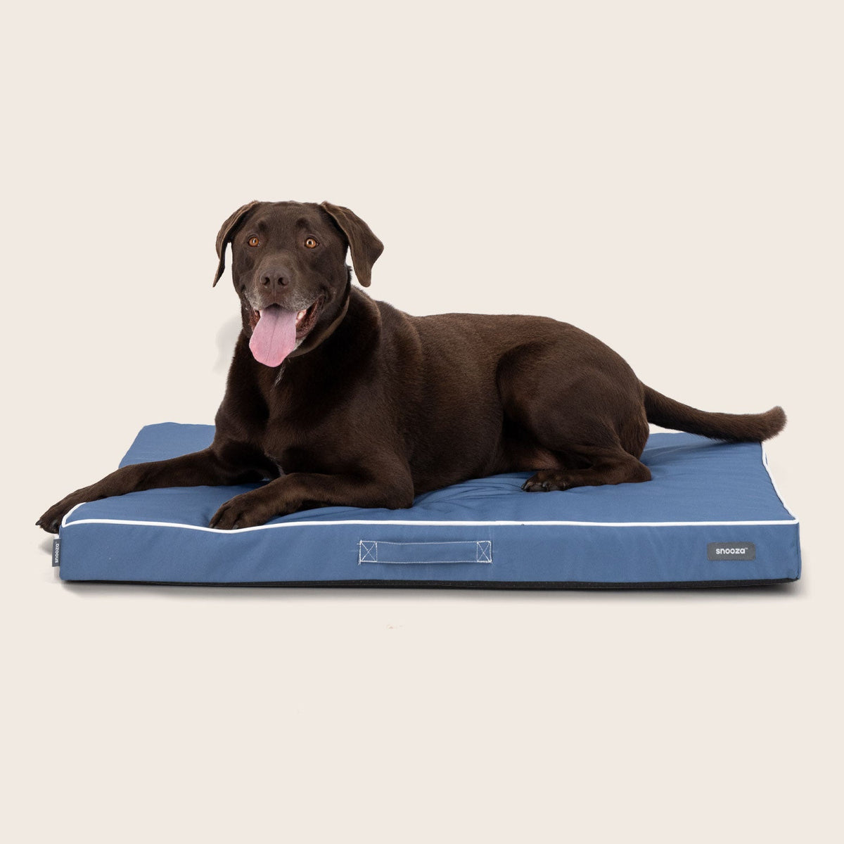 Snooza Alfresco Dream Orthobed in Ocean Blue, outdoor orthopaedic mat