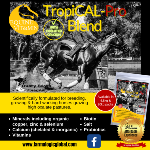 EVM TropiCAL Pro Blend nutrient analysis and feeding rate panel