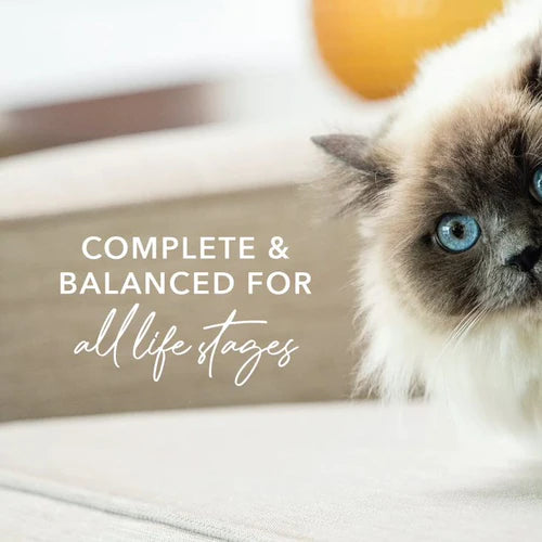 Feline Natural Canned Beef Feast
