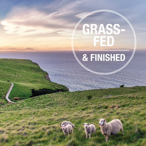 Feline Natural Canned Lamb Feast