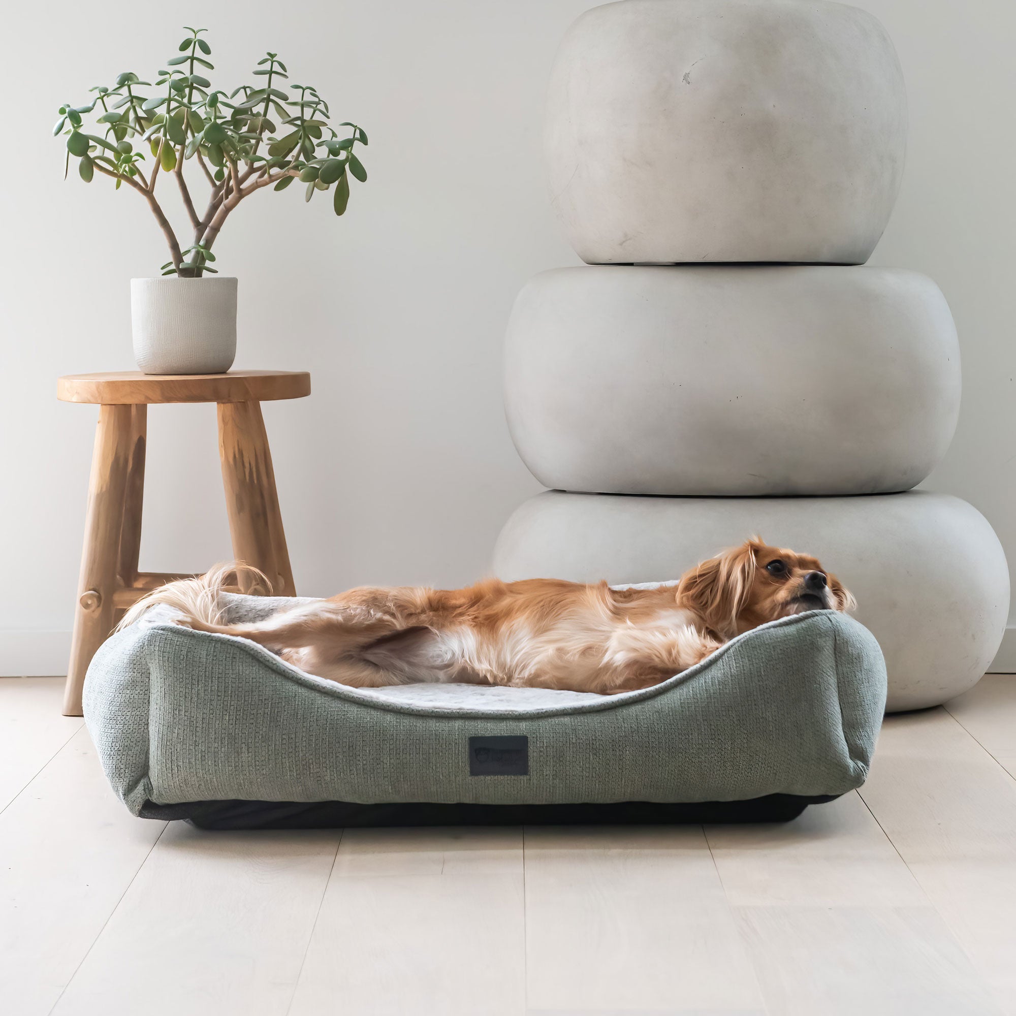 Superior Pet Goods Ortho Haven in Sage in a home setting