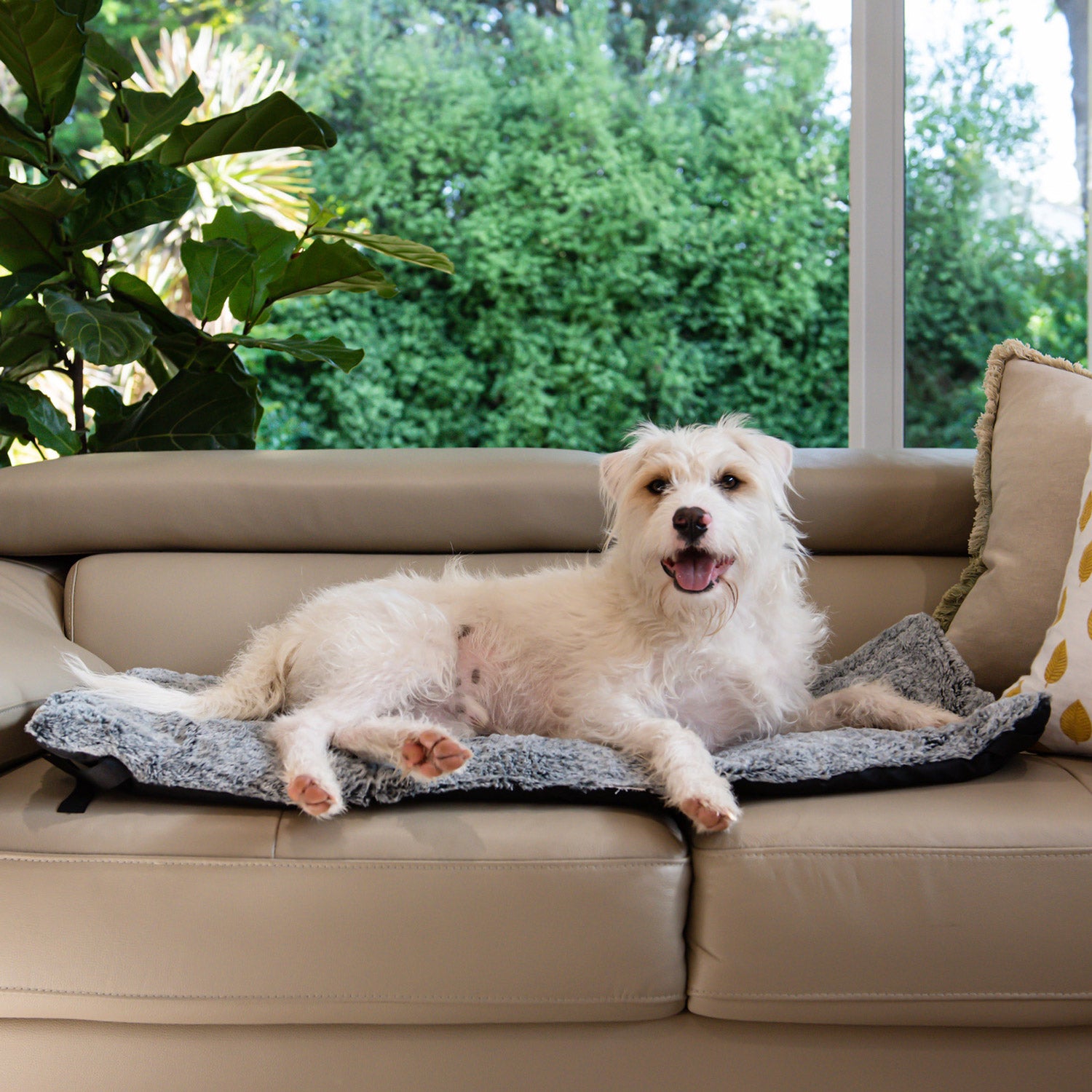 Superior Pet Goods Rollup Pet Travel Mat used outdoors