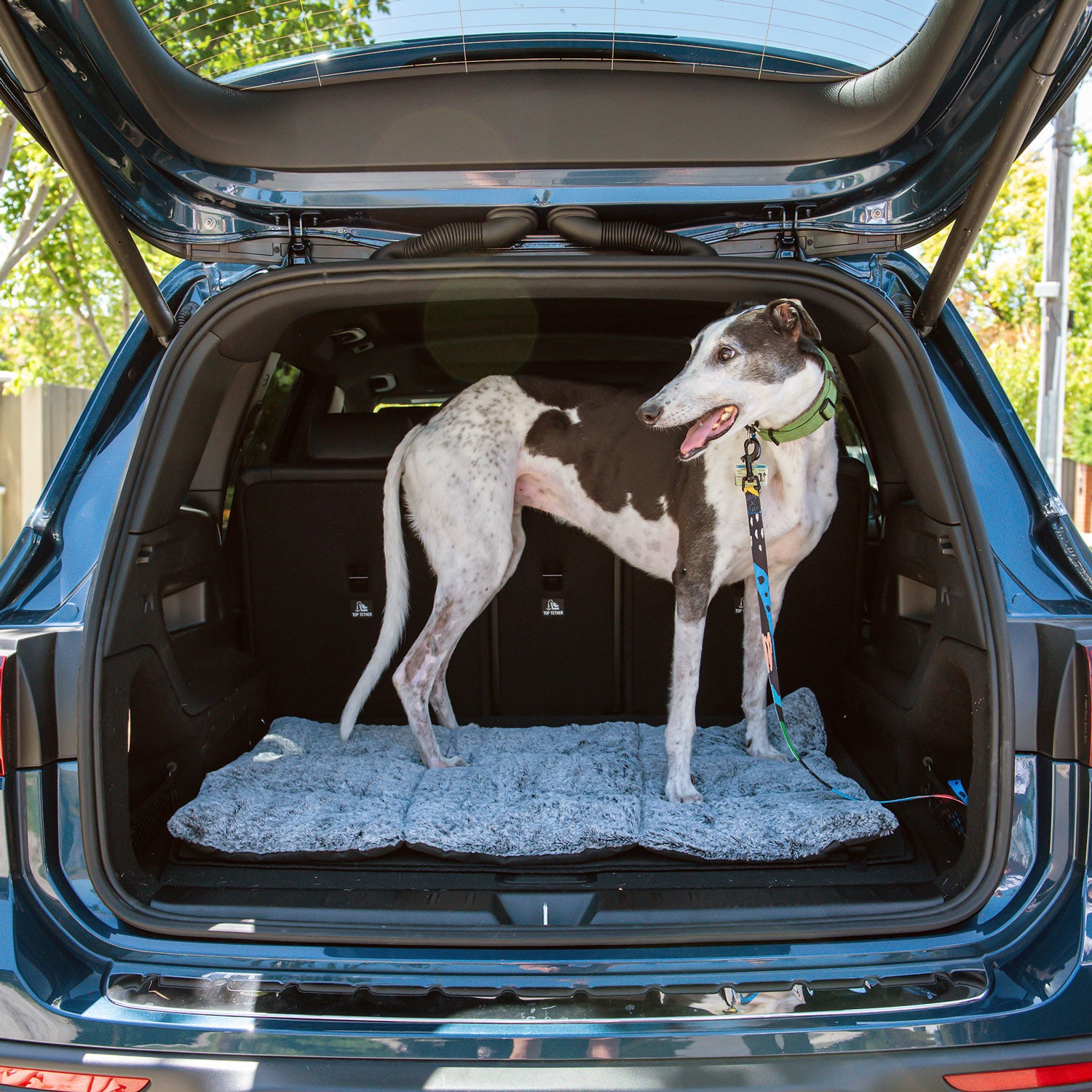 Superior Pet Goods Rollup Pet Travel Mat rolled up with the carry handle