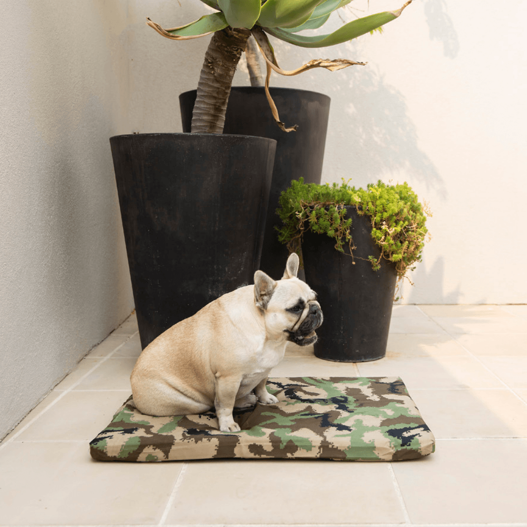 A French bulldog sitting on a Superior Pet Goods Camo Dog Mat beside potted plants