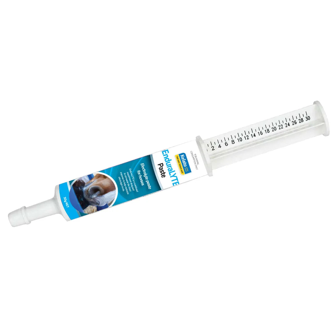 Kelato EnduraLYTE Paste 30g electrolyte syringe for horses