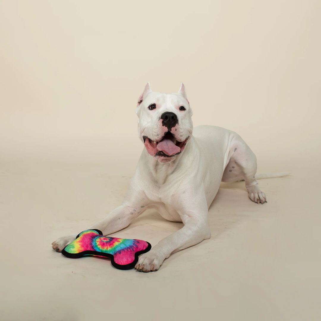 Fringe Studio Plush Squeaker Dog Toy - Just Dye It | PeekAPaw Pet Supplies