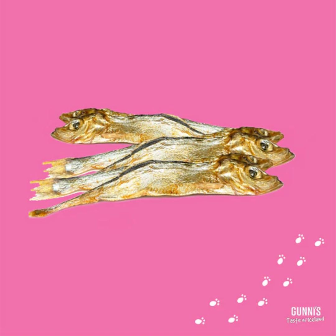 Gunni's Taste of Iceland Cat Treats Whole Herring - 42.5g | PeekAPaw Pet Supplies