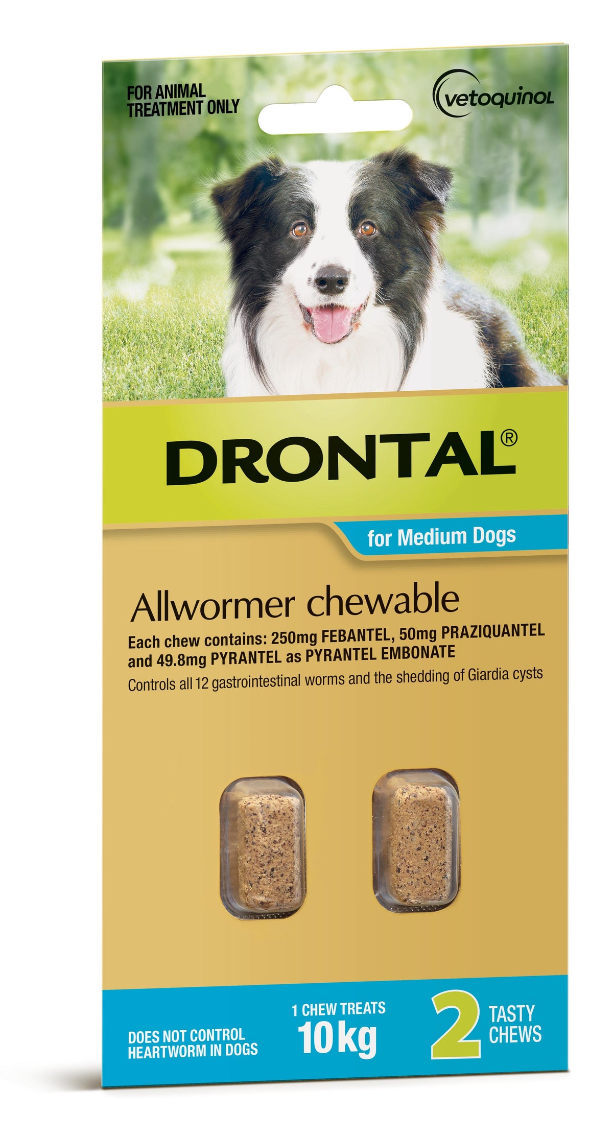 Drontal Allwormer chewable for medium dogs up to 10kg, 2 chews – front of pack