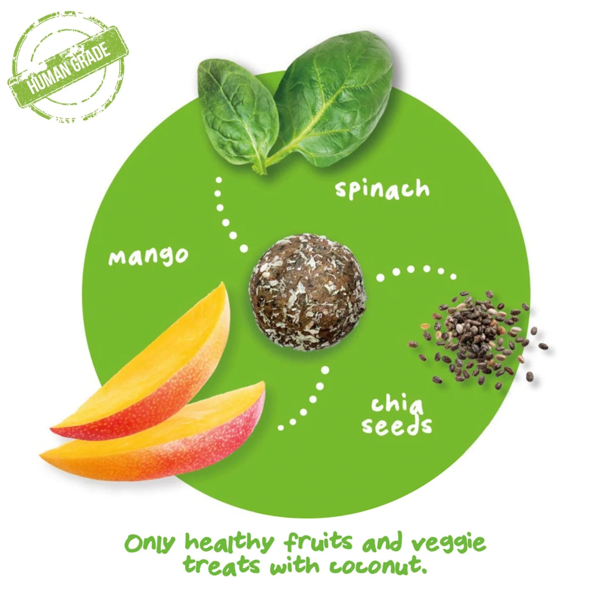 Pet Ervescence Treat-a-Balls Mango Chia, & Spinach Dog Treats