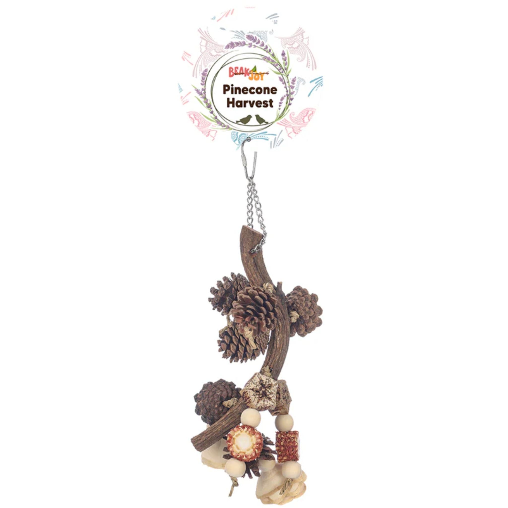 Beak Joy Pinecone Harvest